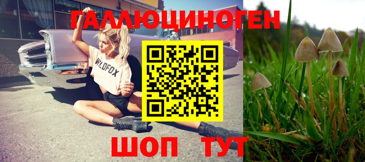 Мурманск  Галлюциногенные грибы GOLDEN TEACHER  Вход с VPN 
