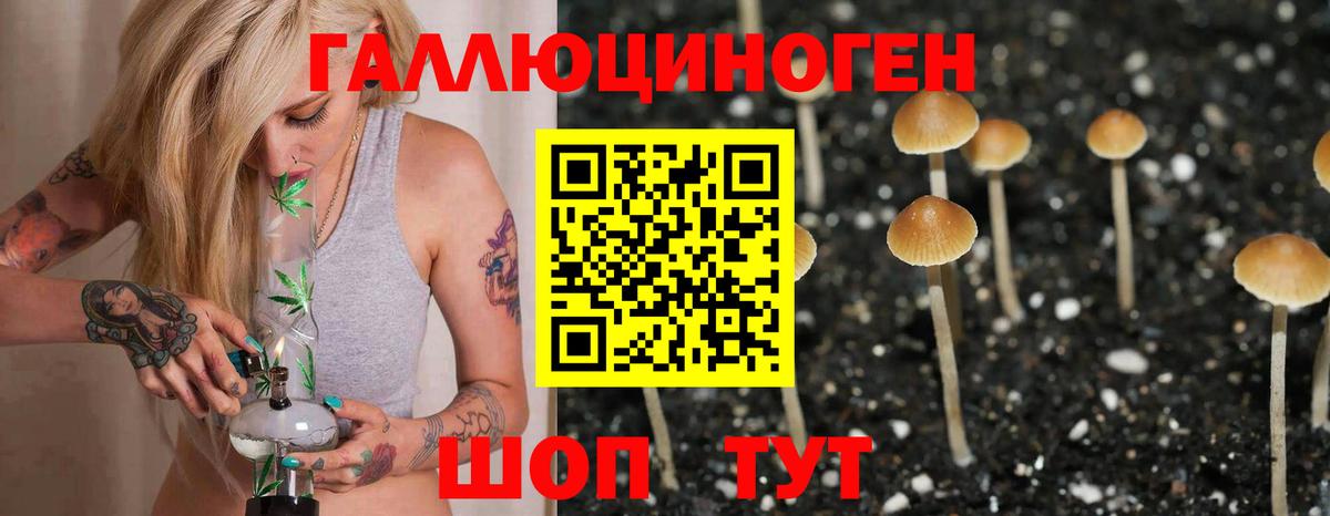 Псилоцибиновые грибы мухоморы Мурманск